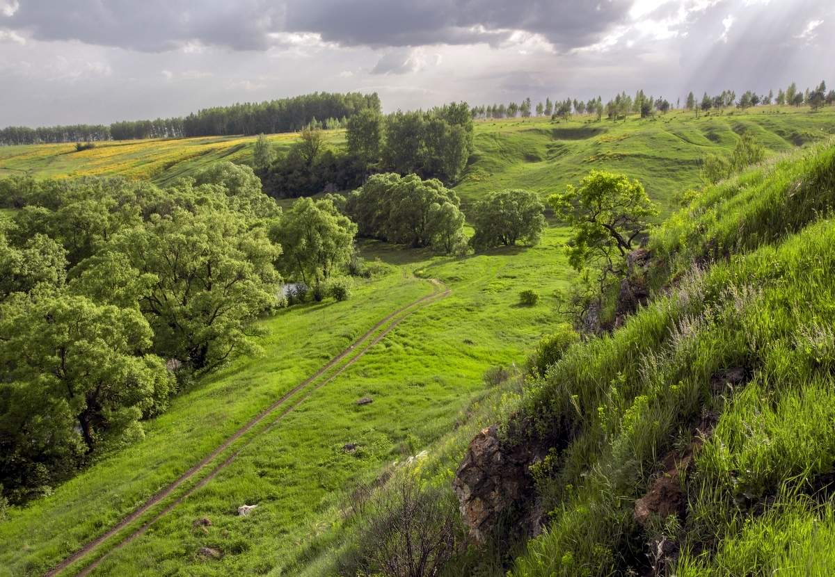 Щучье урочище.