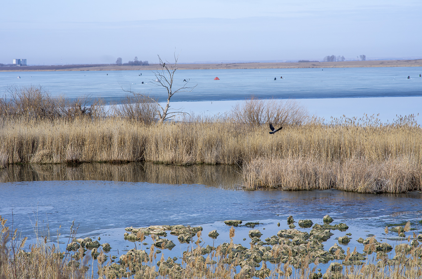 по последнему льду