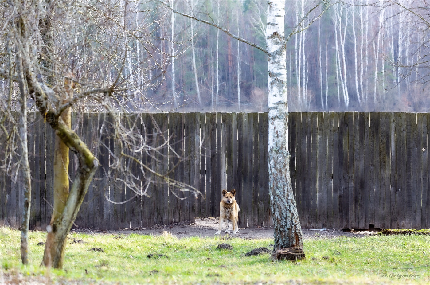 ЗАКРЫТАЯ ВЕСНА