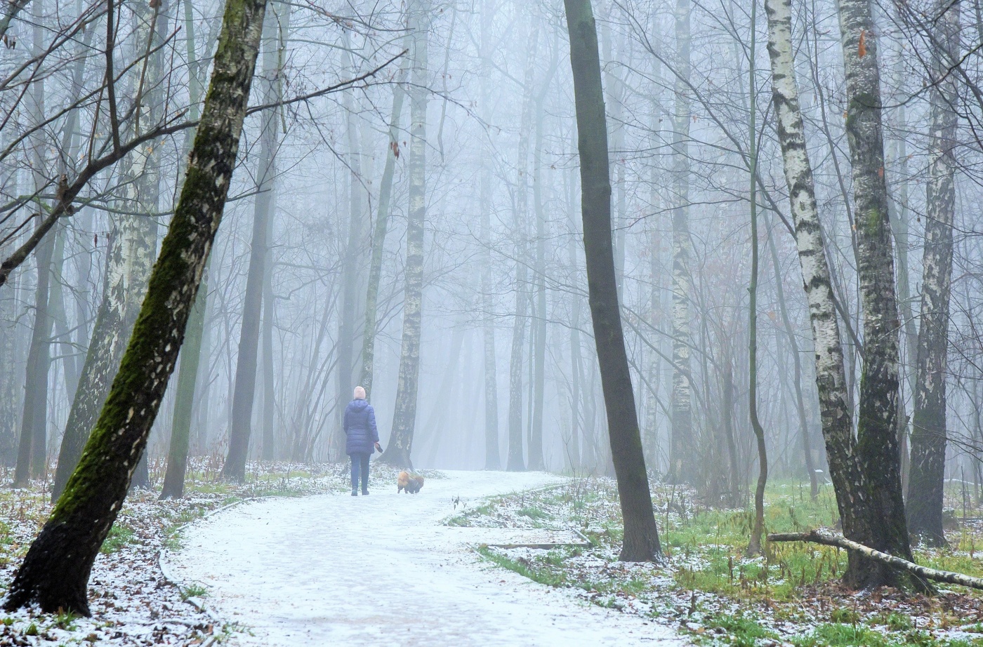 Туманная аллея ...