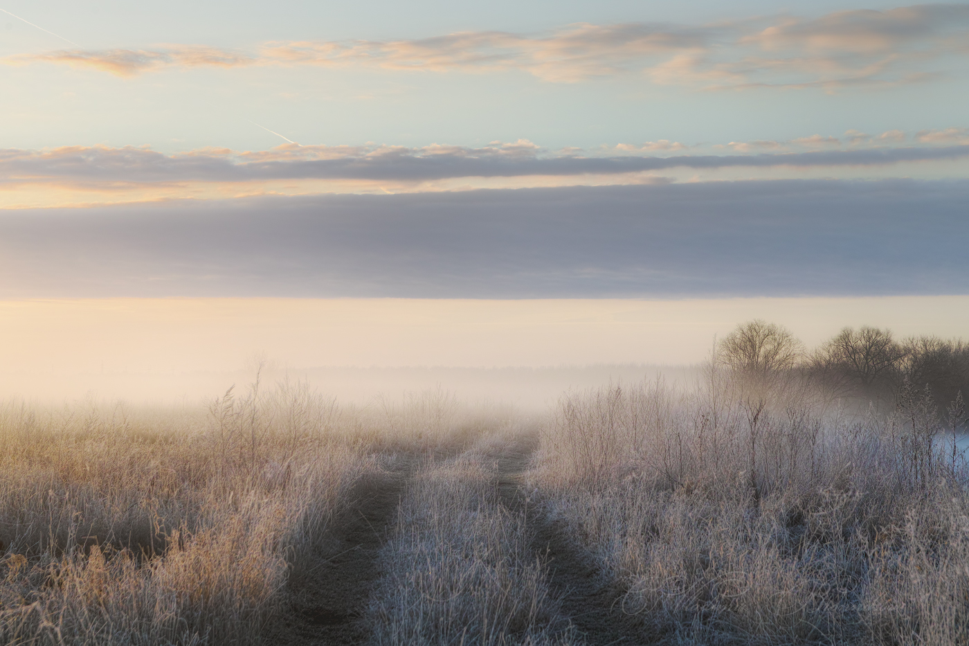 Весенними дорогами