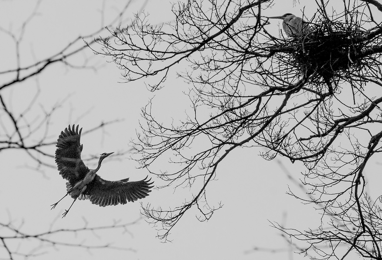 Возвращение