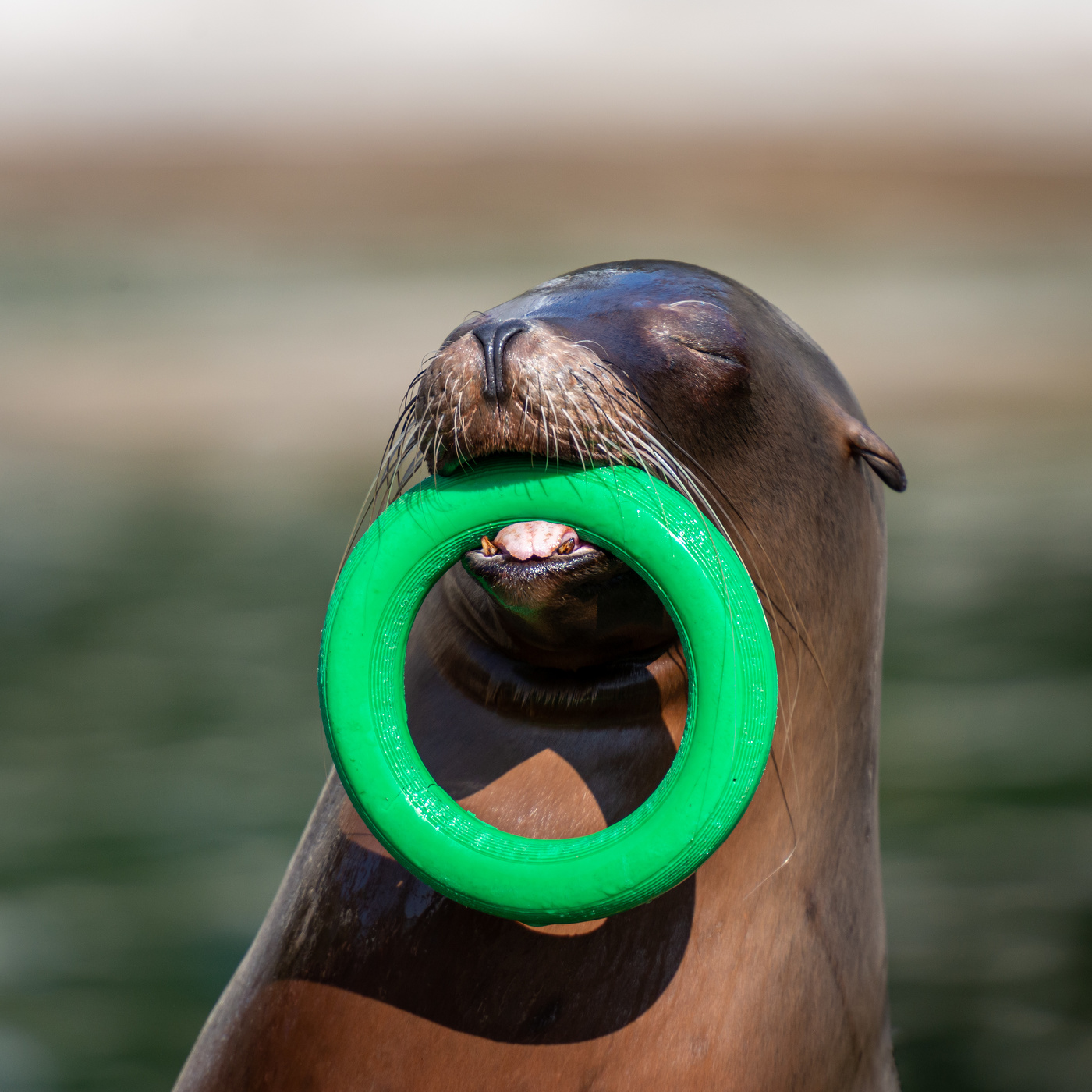 Конфетки , бараночки..