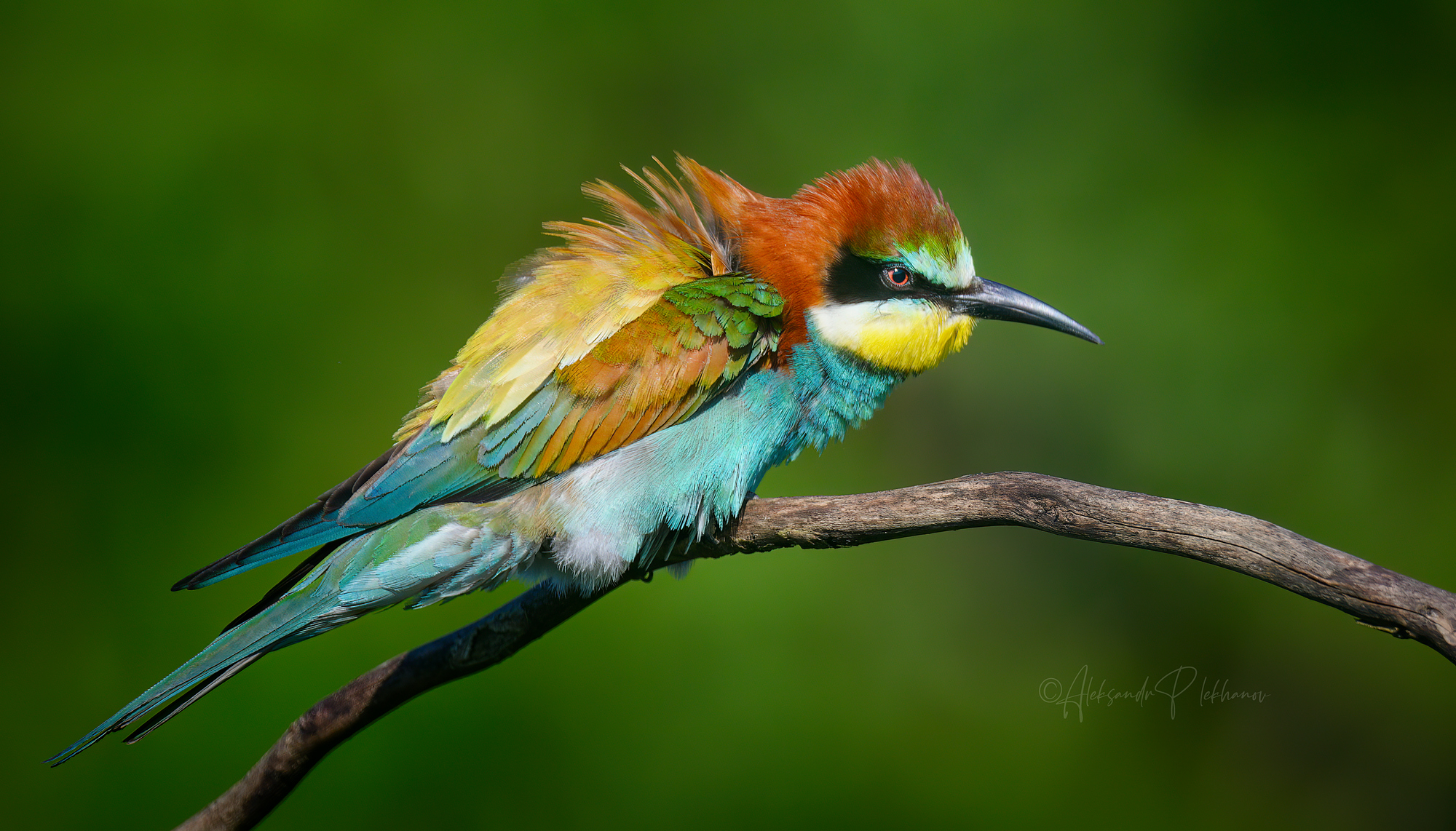 О деталях и красках