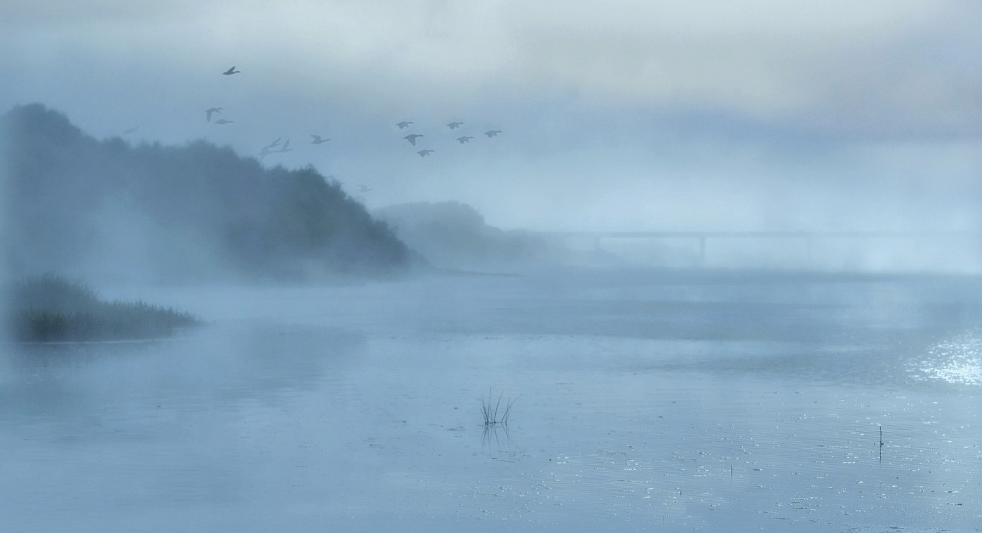 Весенний туман.