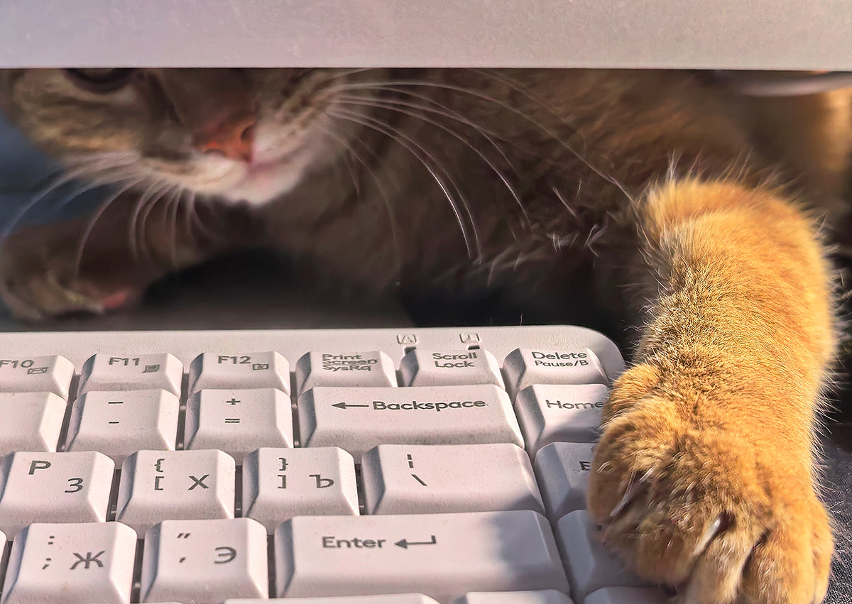 Хозяин, жми "Escape"