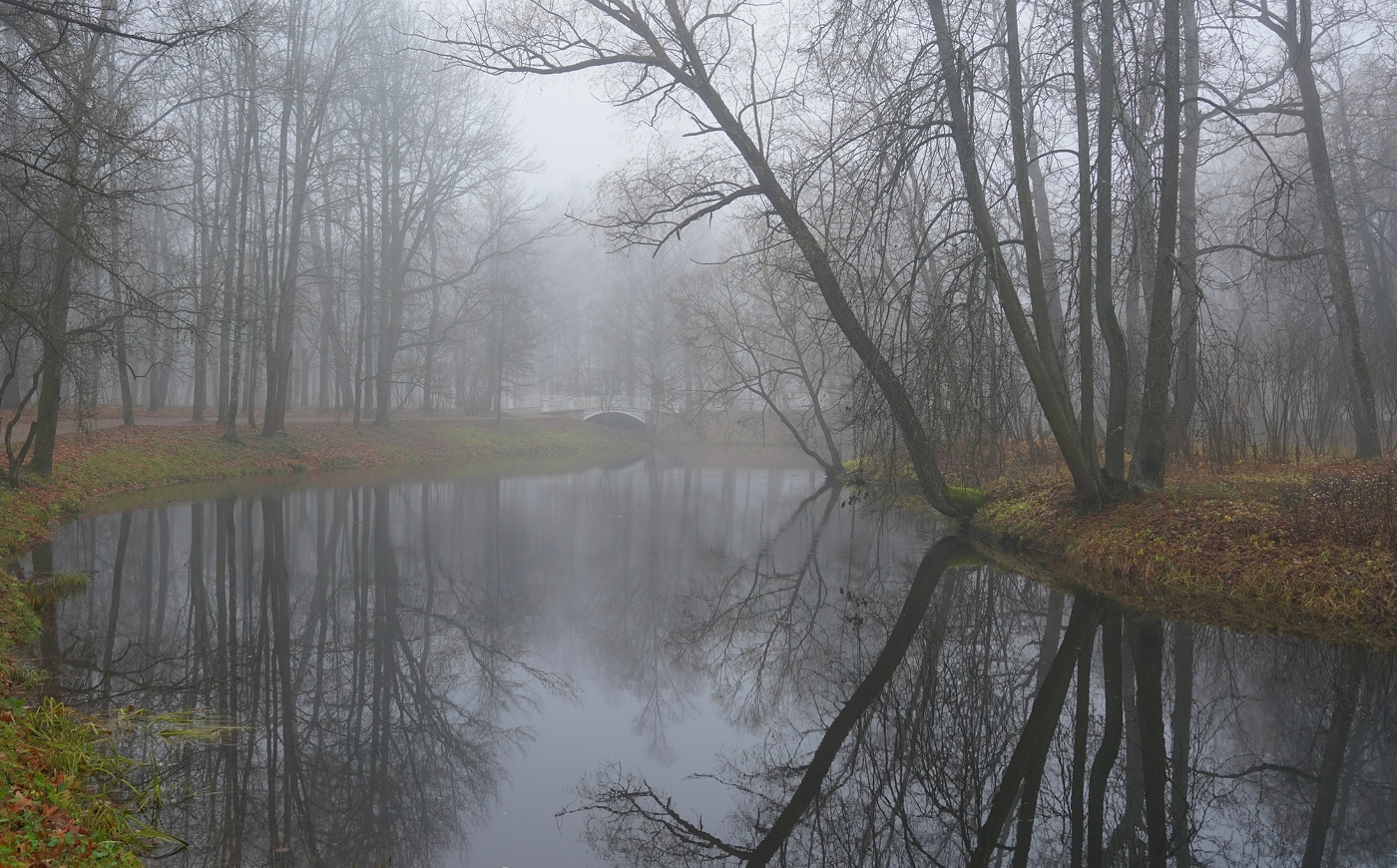 Утро в ноябре