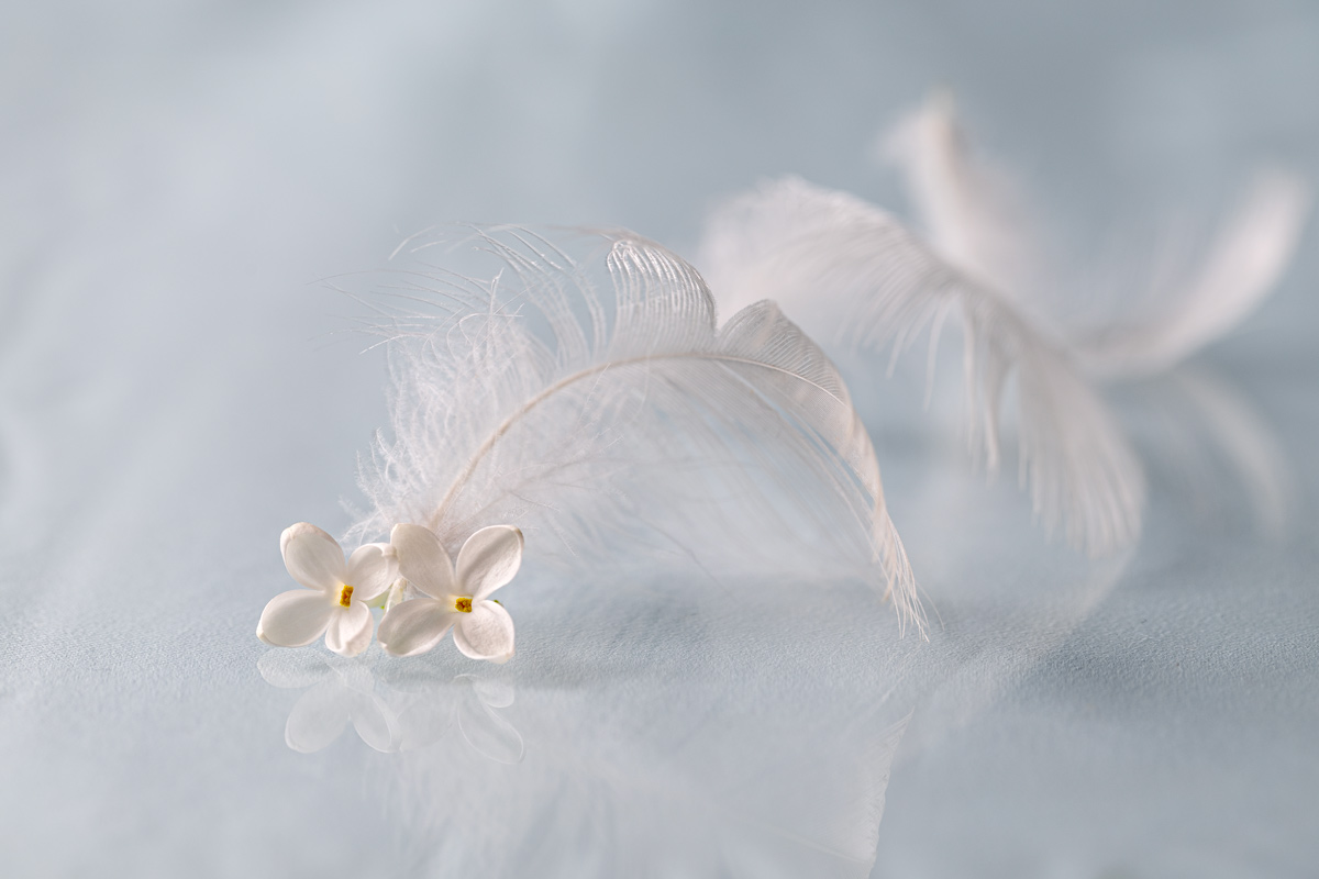 Весенние мотивы