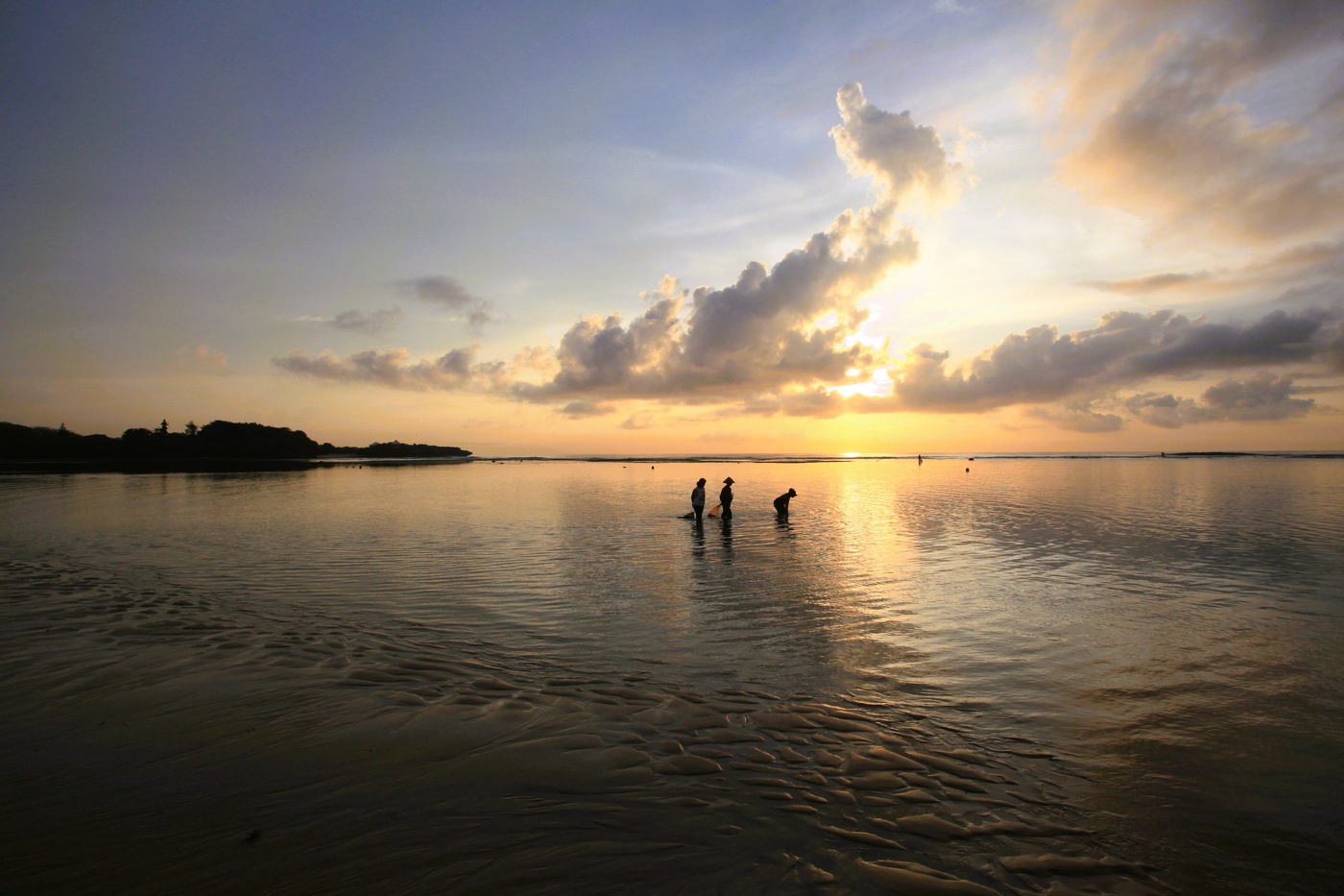 Сборщицы морепродуктов