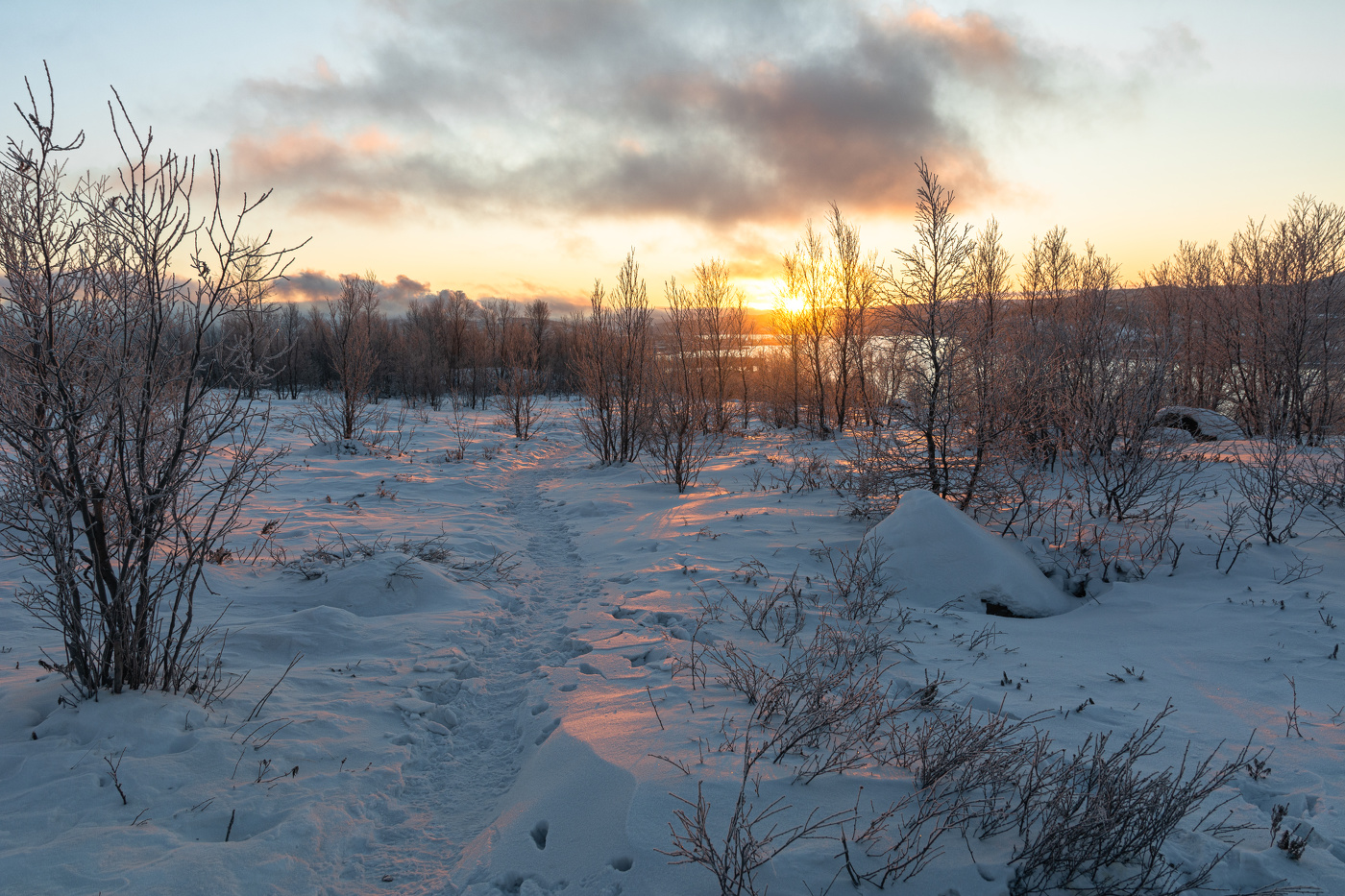 Низкое солнце