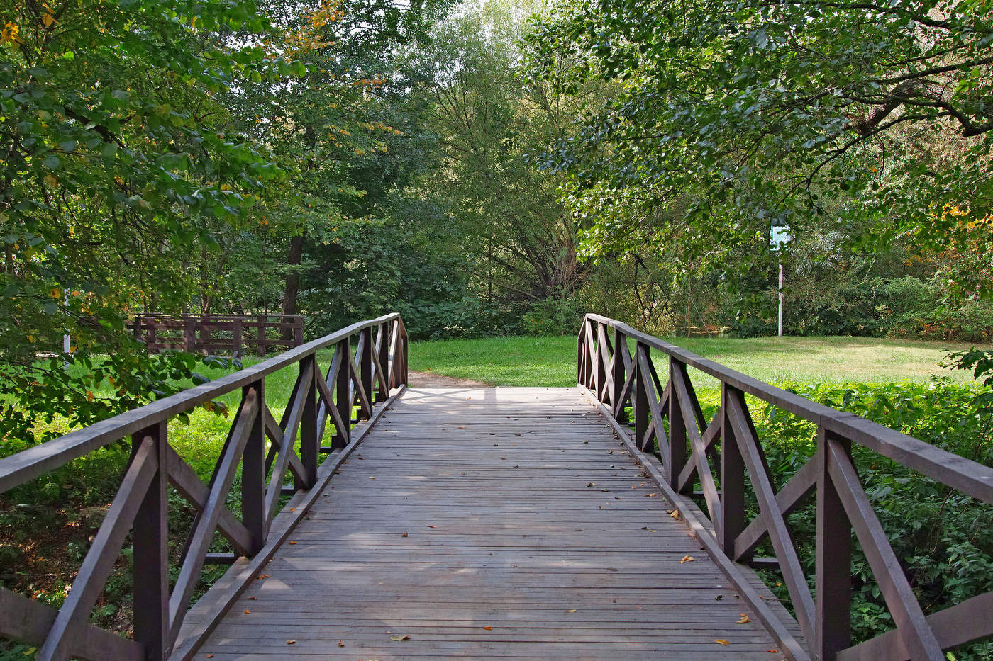 В Кузьминском парке