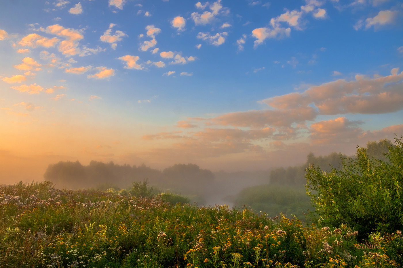 В поле у реки.
