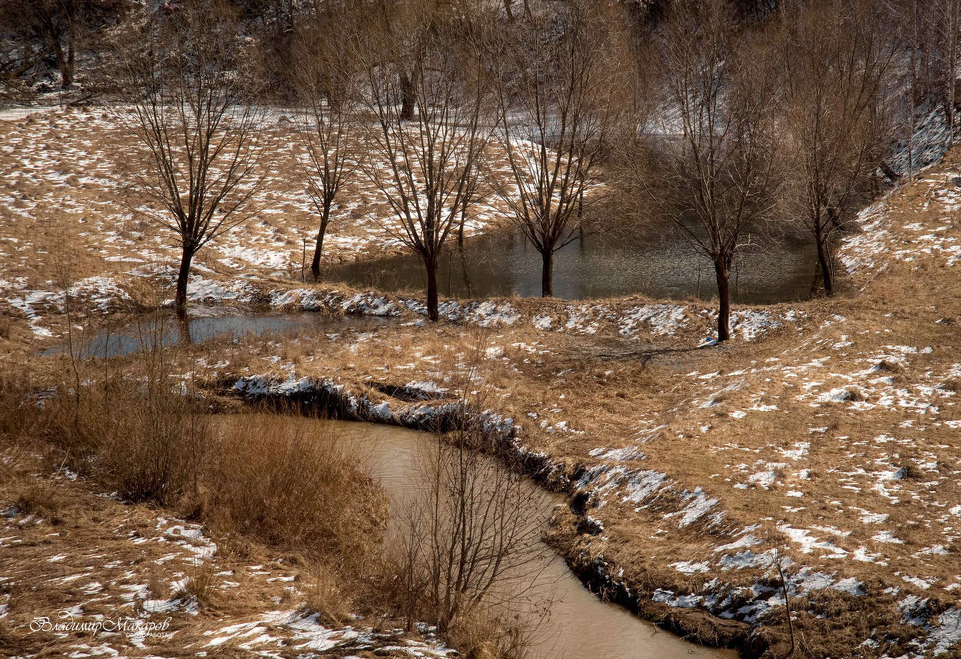 "Потянуло весной"©