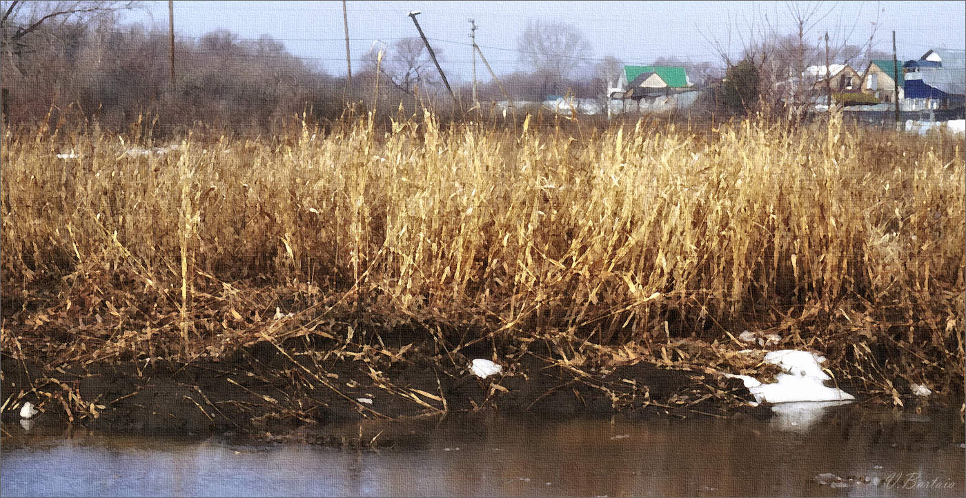 Весна на задворках