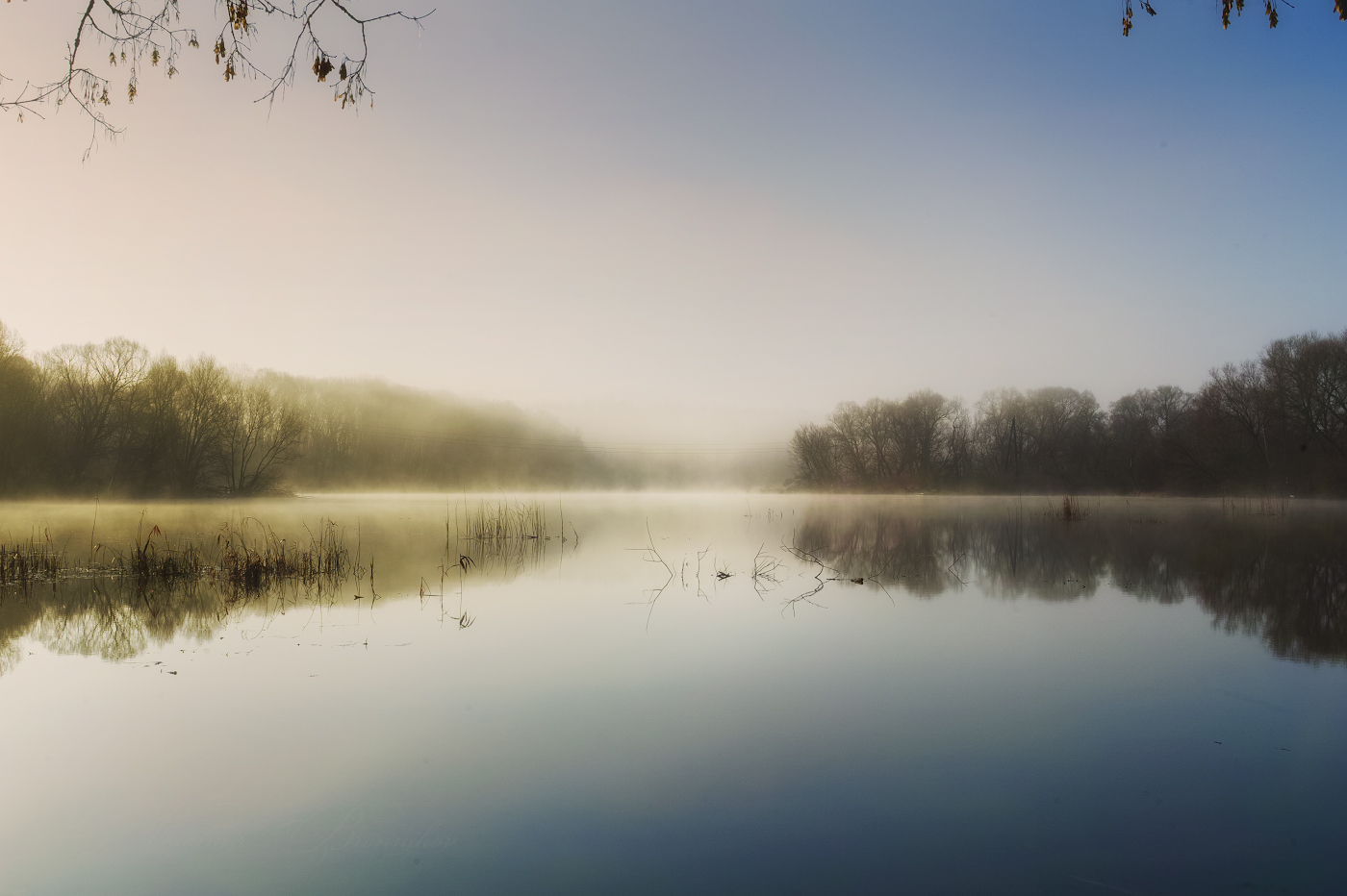 Весенняя тишина