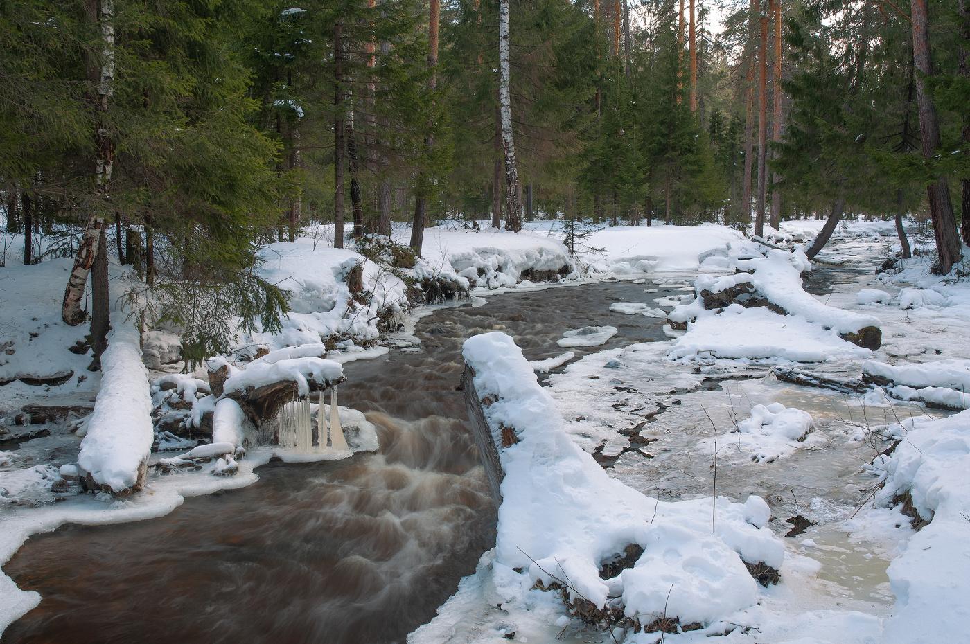 Весенние мотивы