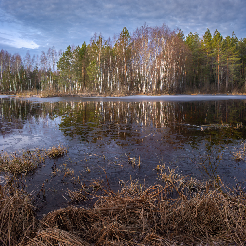 Утро последнего льда