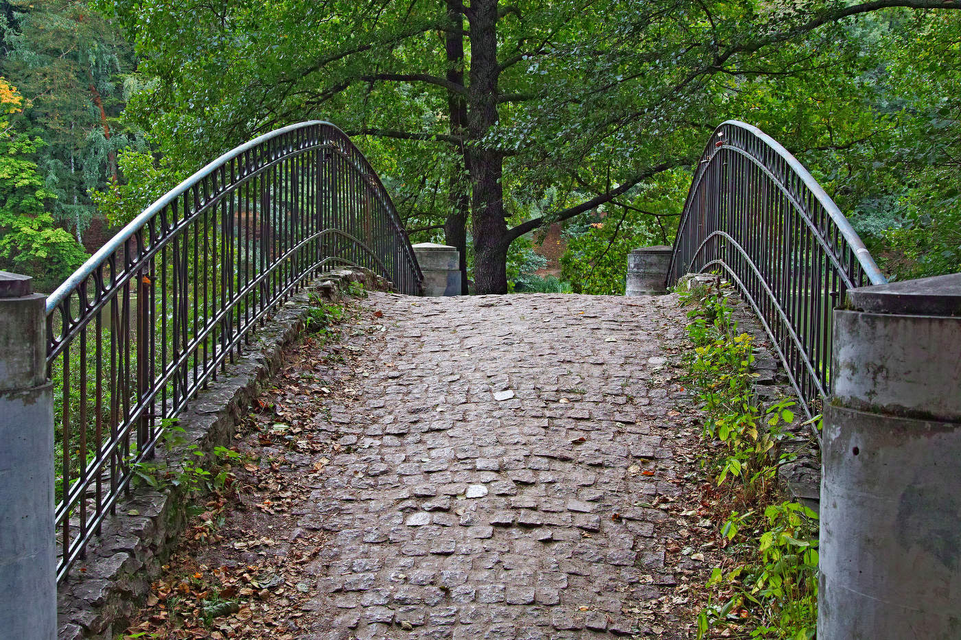 Кузьминский парк