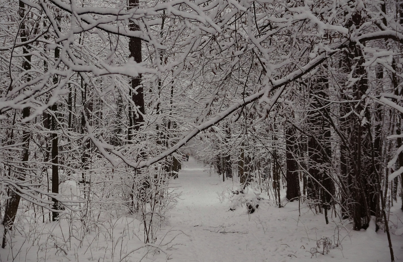 Апрельские шутки