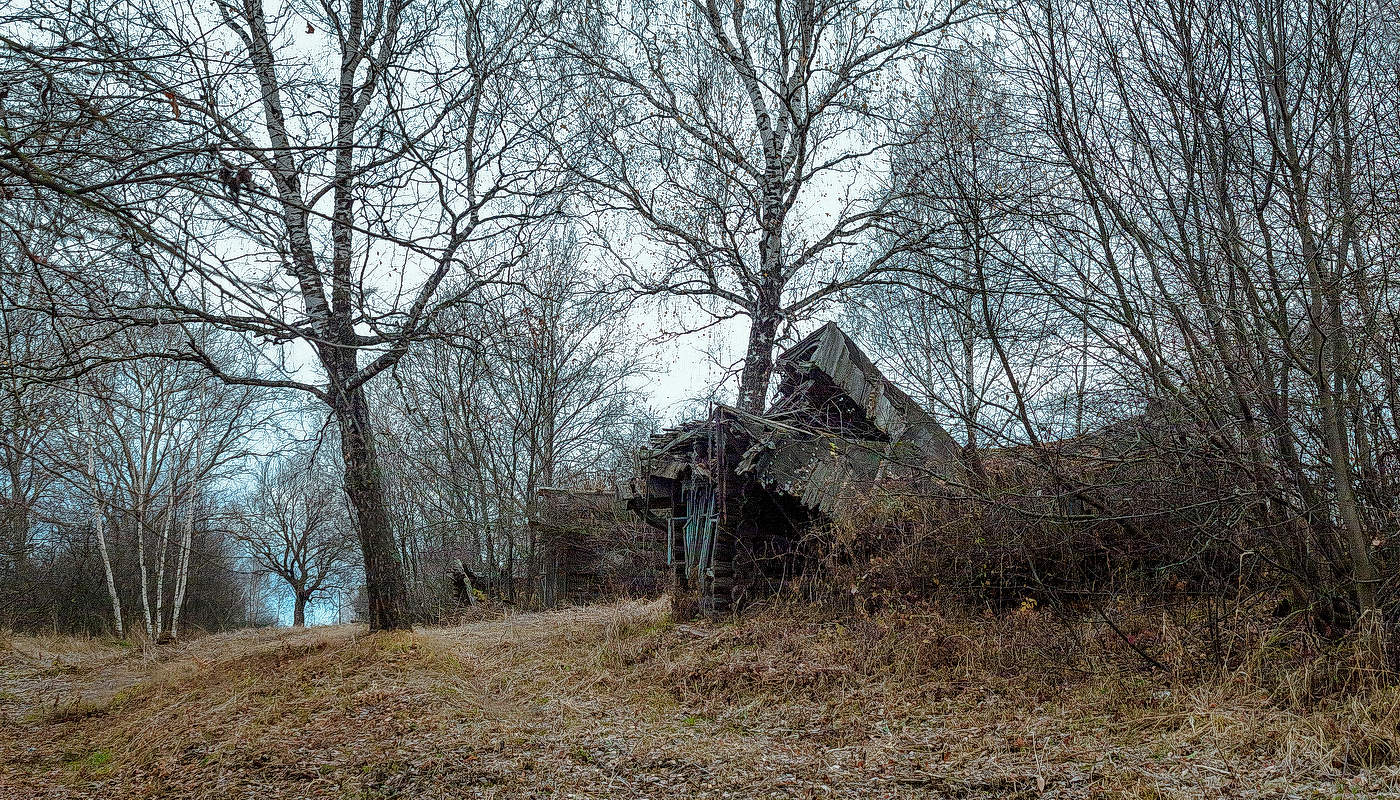 Кусочек жизни.