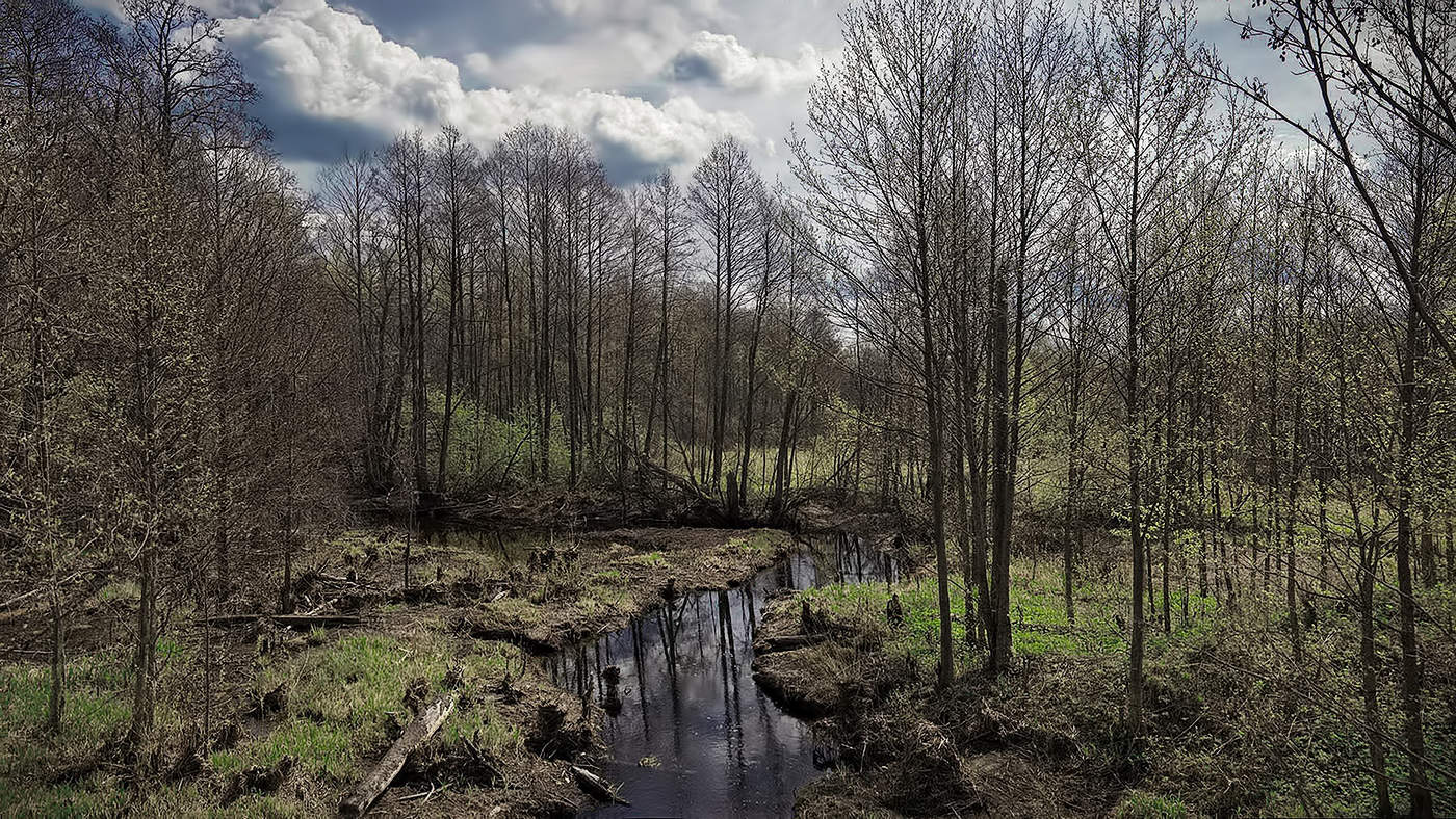 Своенравный приток.