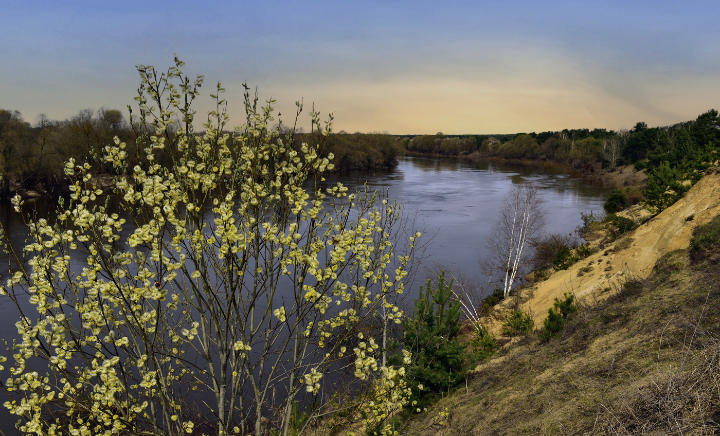 Весна на реке Угра.