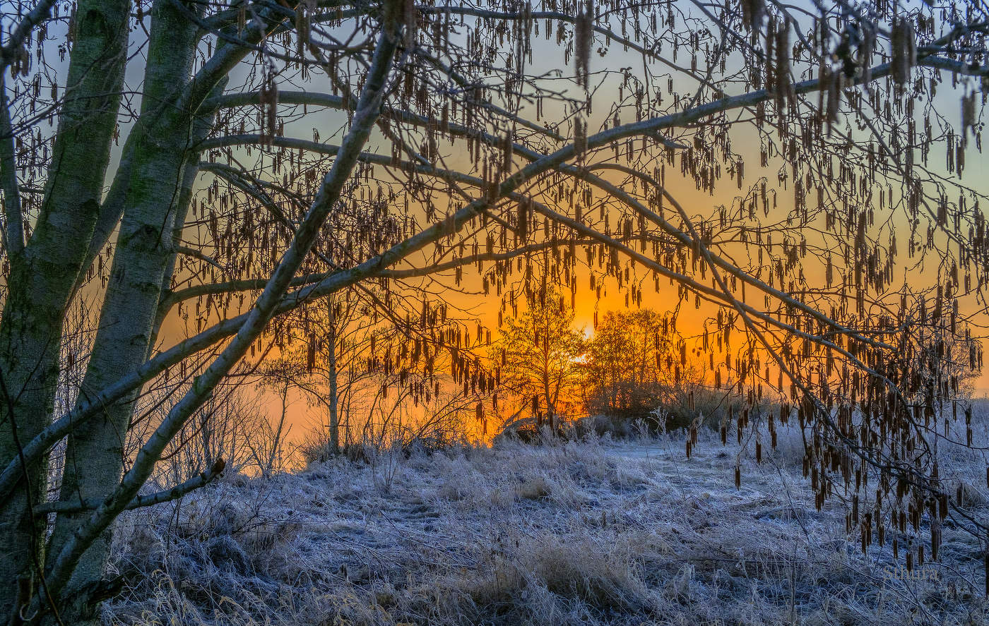 Весенние заморозки.