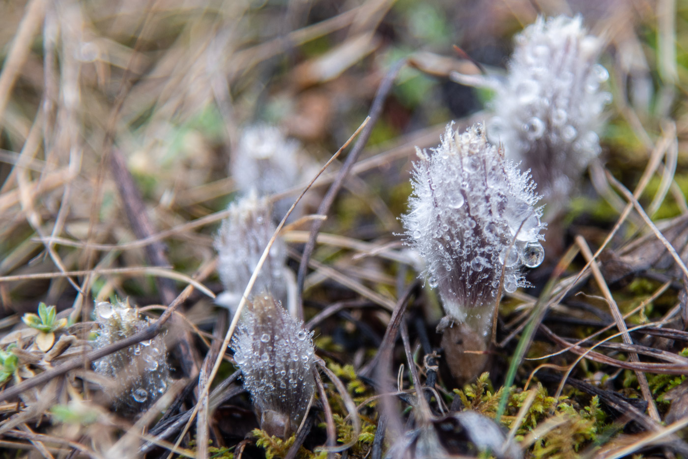Просыпаются...