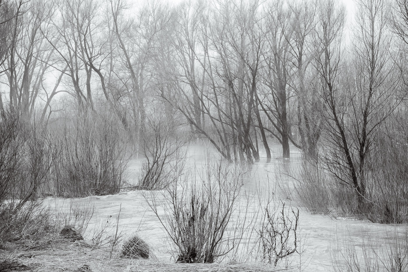 Река весной