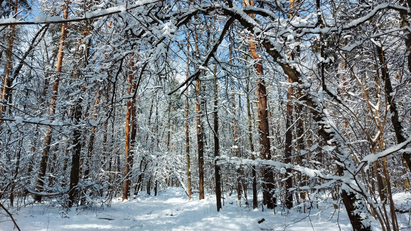 Апрельский день.