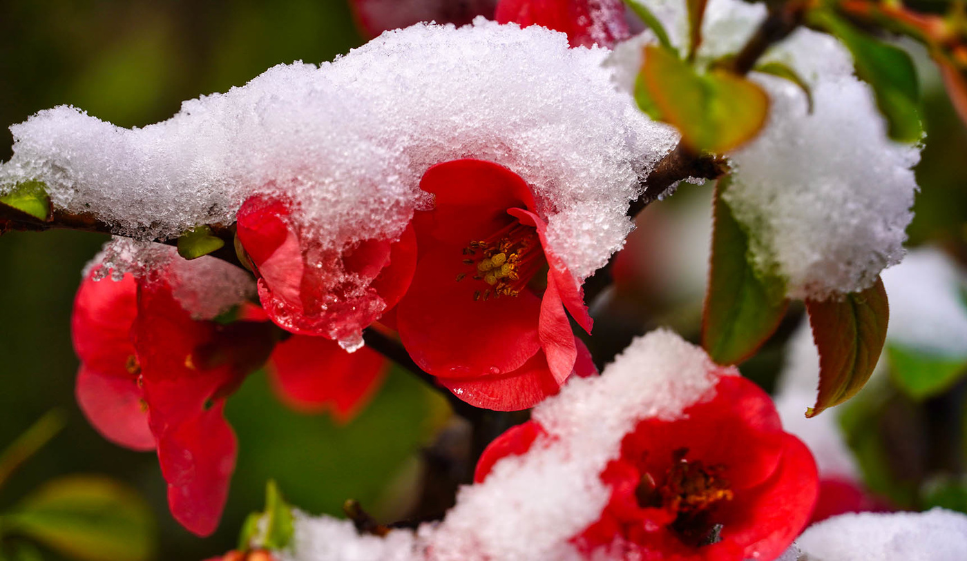 Этот апрель...