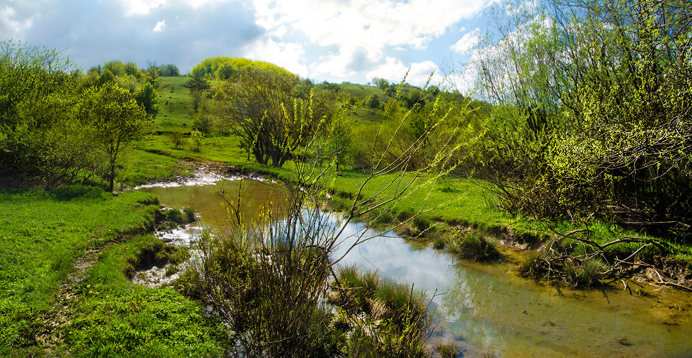 Зелёная, зелёная трава
