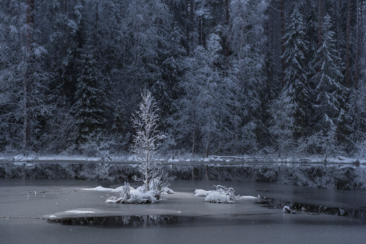 На островке.