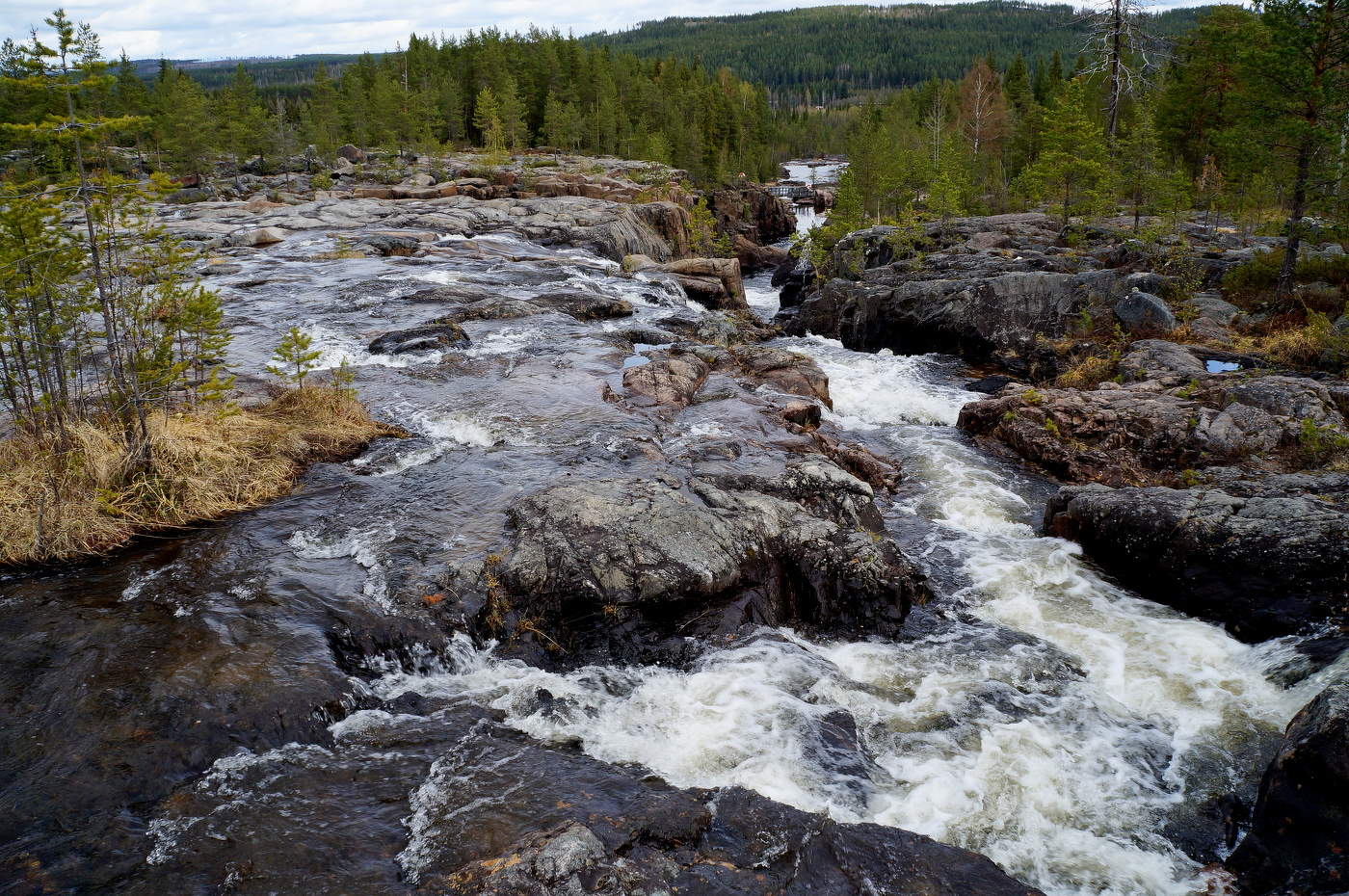 Прощай, свободная стихия!