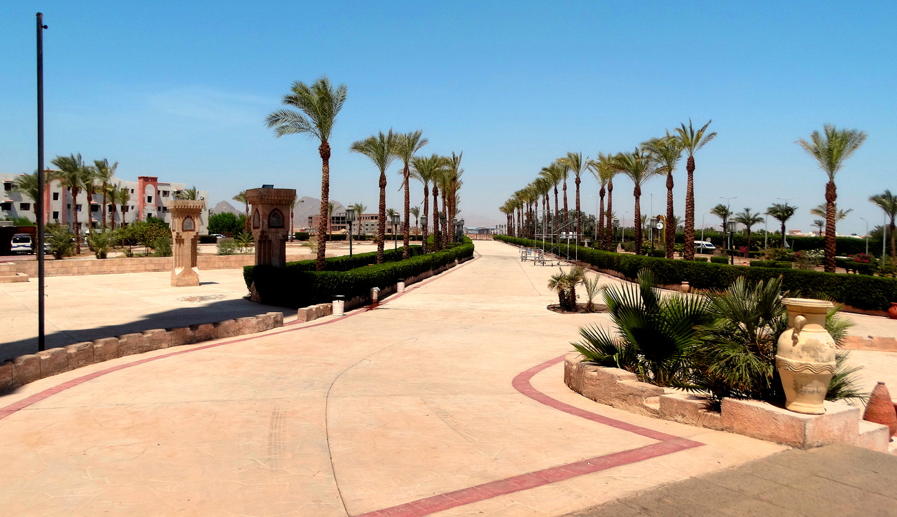 Пальмовая аллея