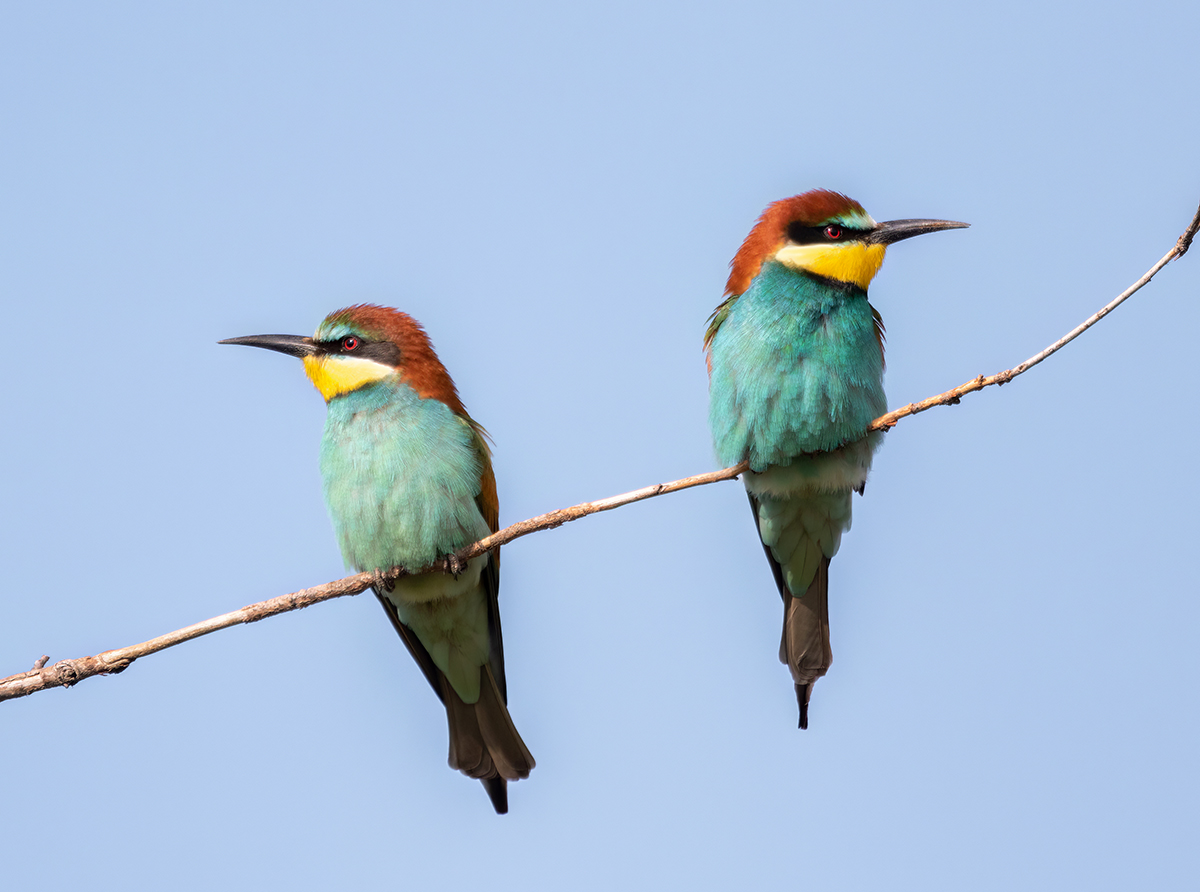 Мониторинг воздушного пространства