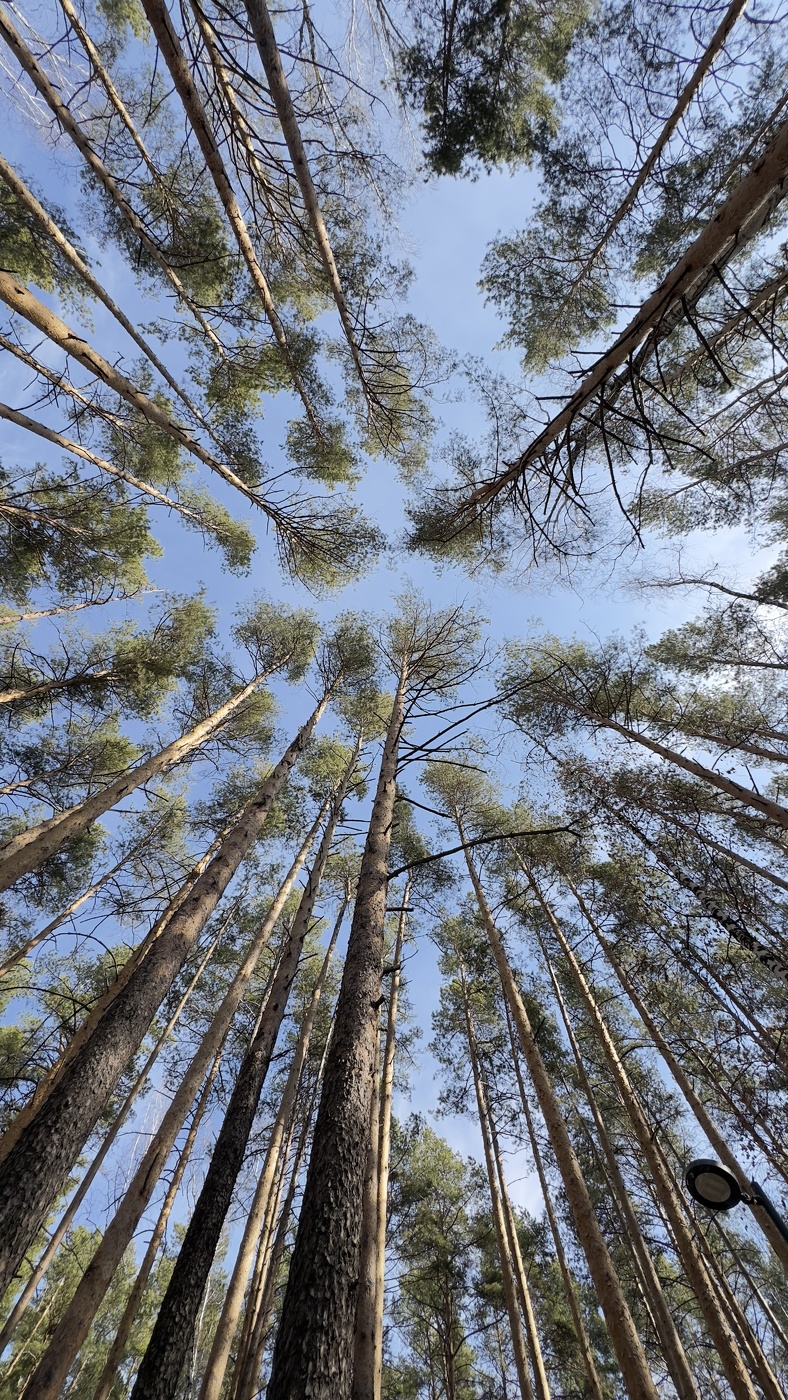 Просто кадр