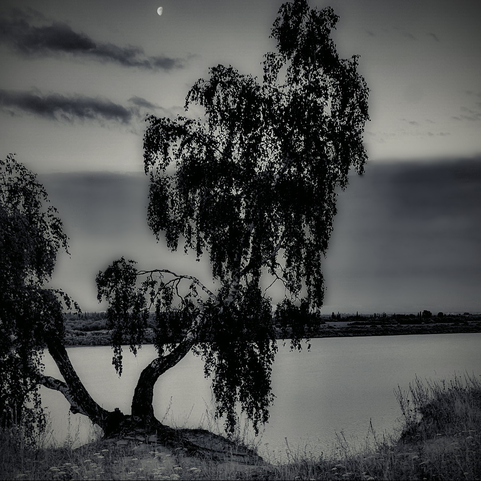 Летним вечером.