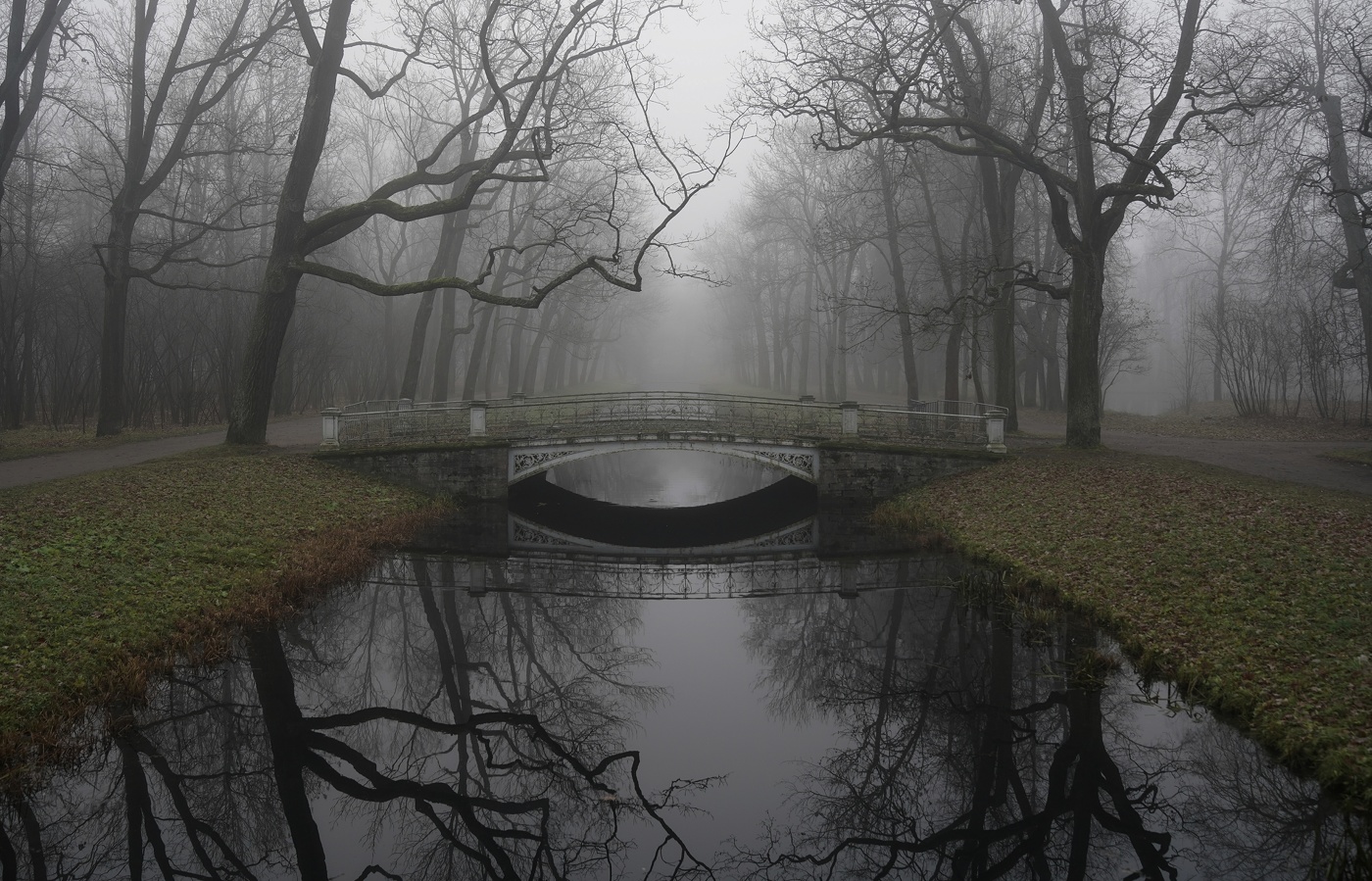 Спокойное утро