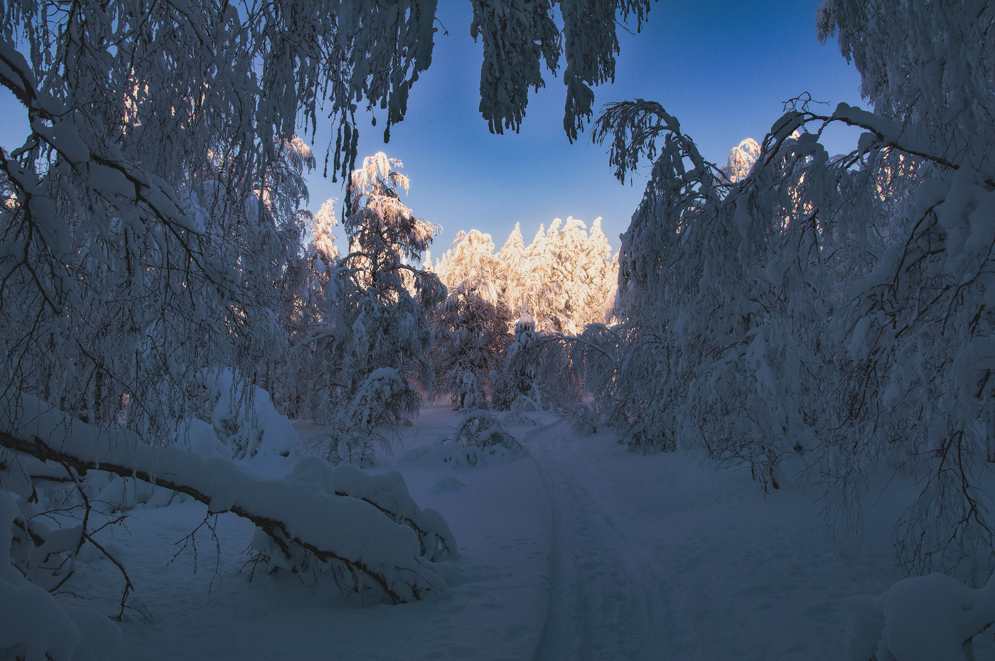 Дорога к свету