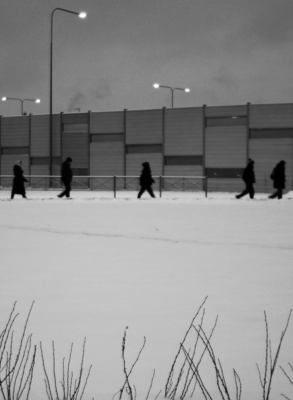 В ритмах города