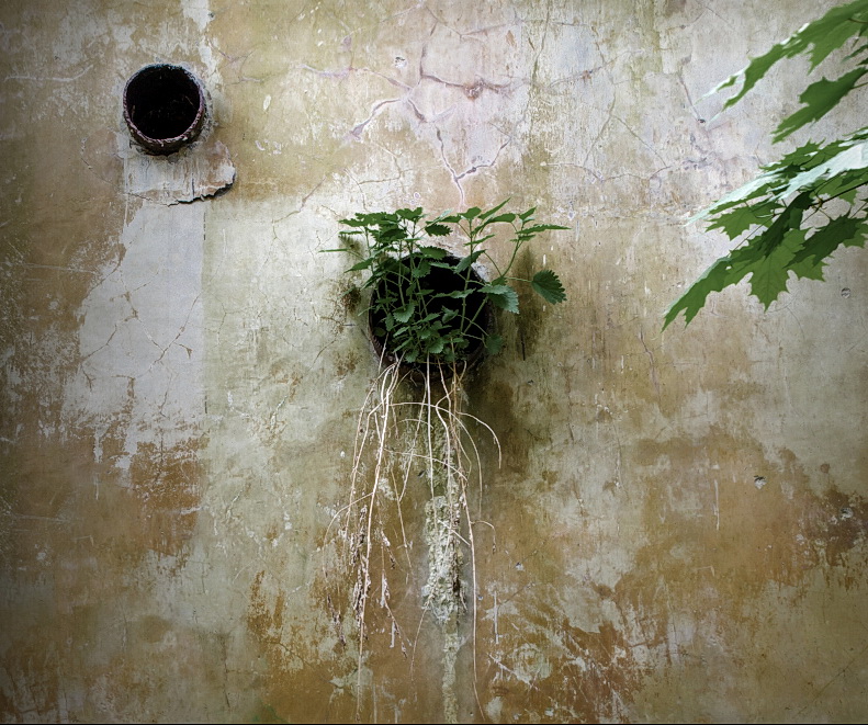 Я тоже так хочу !