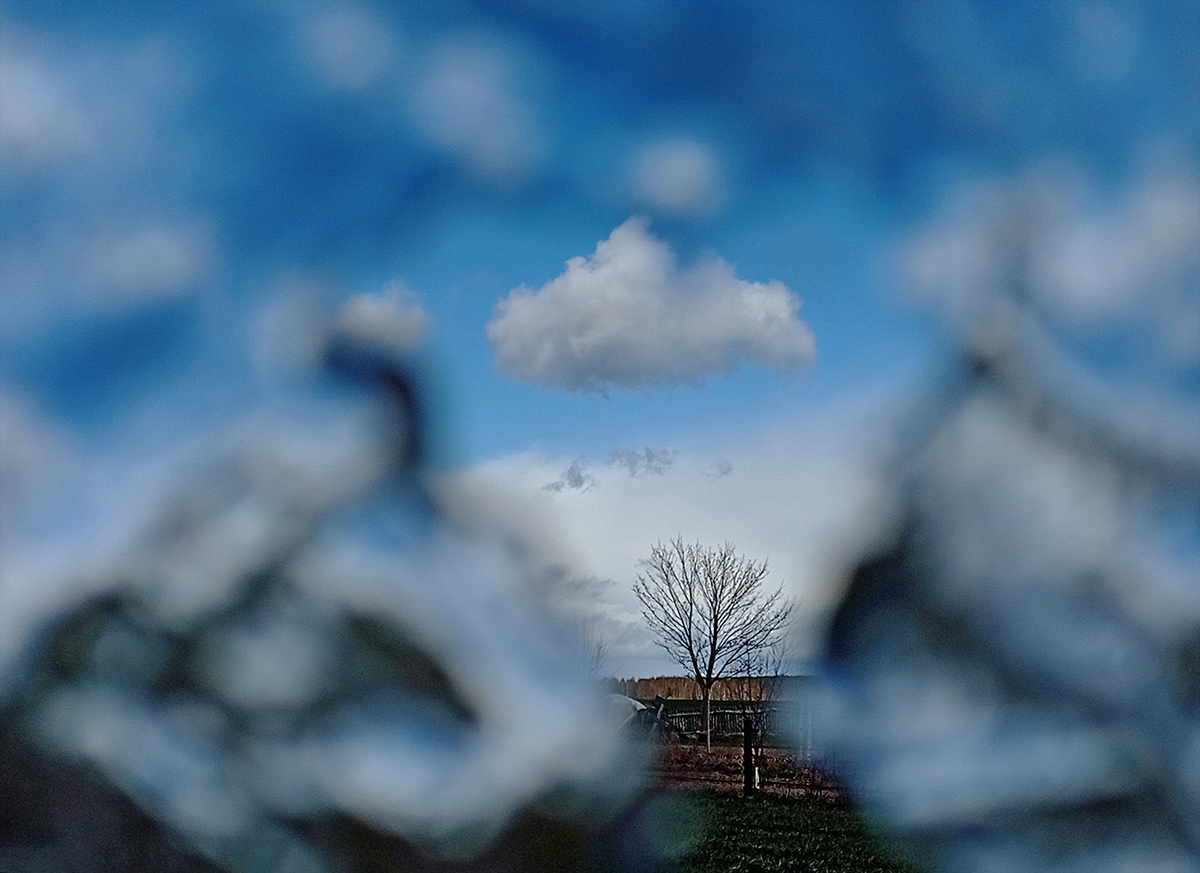 Облако над деревом в паспарту из льдины