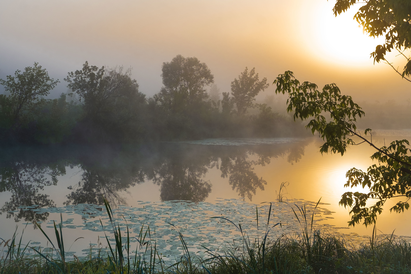 Середина лета.