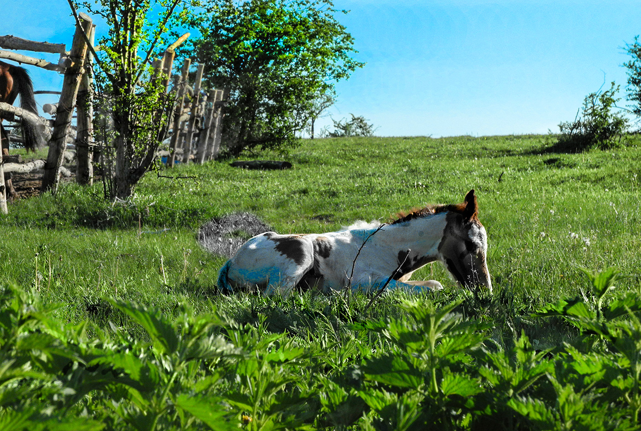 Не будите малыша