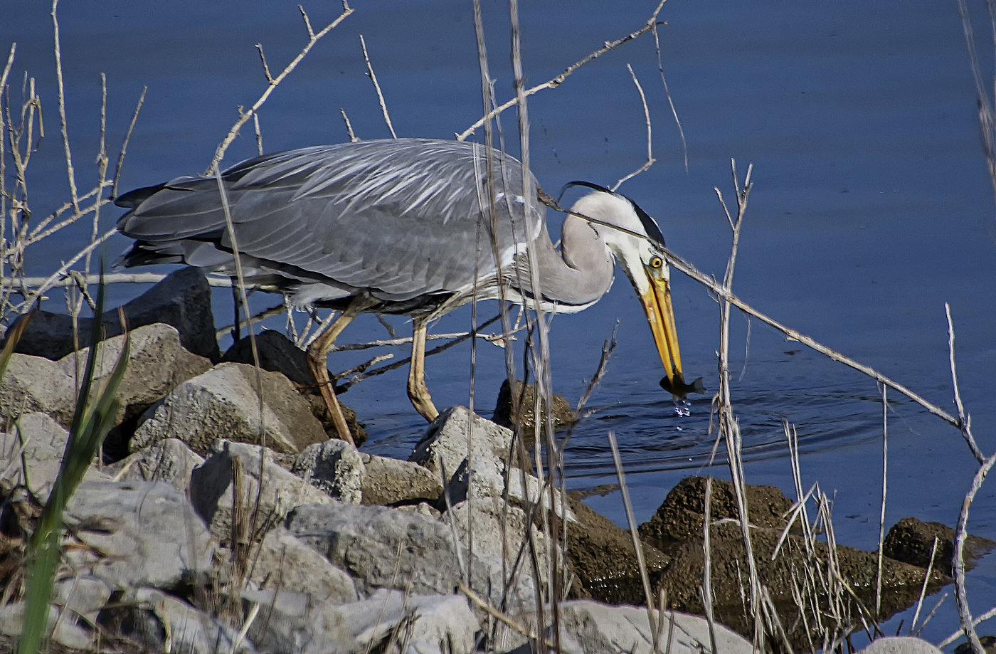 Рыбюалка с берега