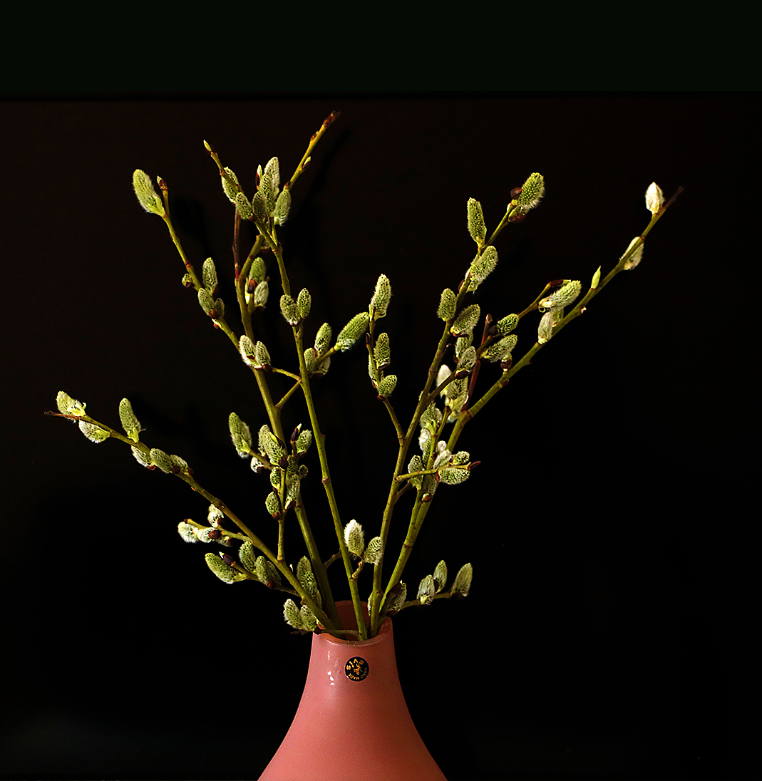 С Вербным Воскресеньем!