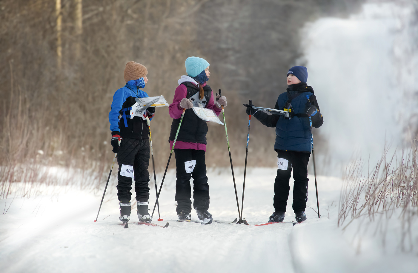 Ты куда нас завел? Не кричите...Я сам заблудился...!