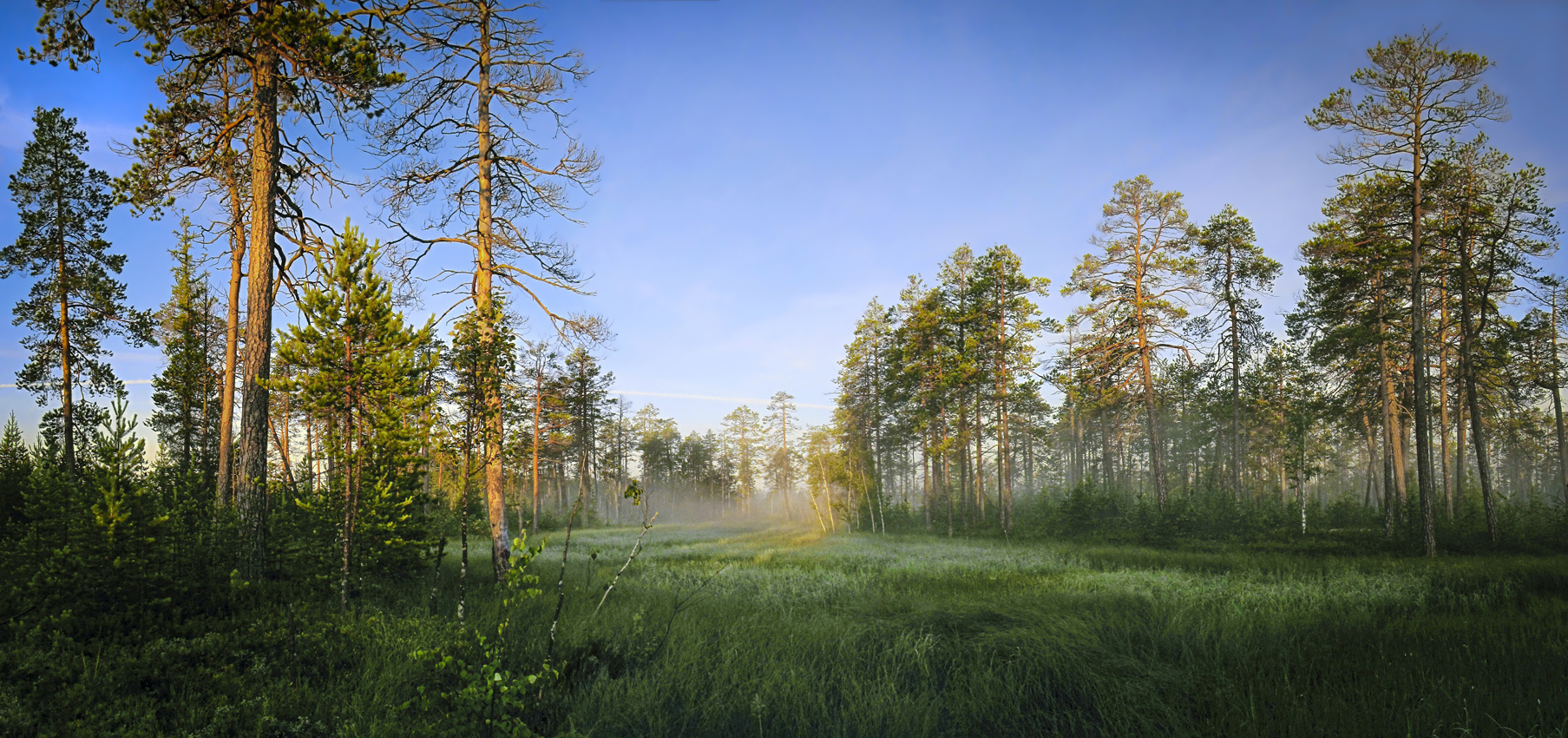 С лёгкой дымкою тумана над заросшим озерком...