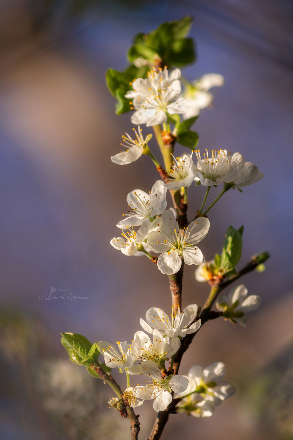 Апрельские зарисовки...